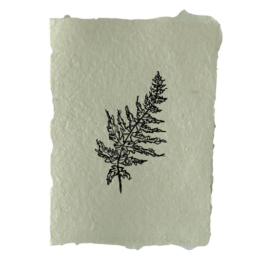 Fern Art Print
