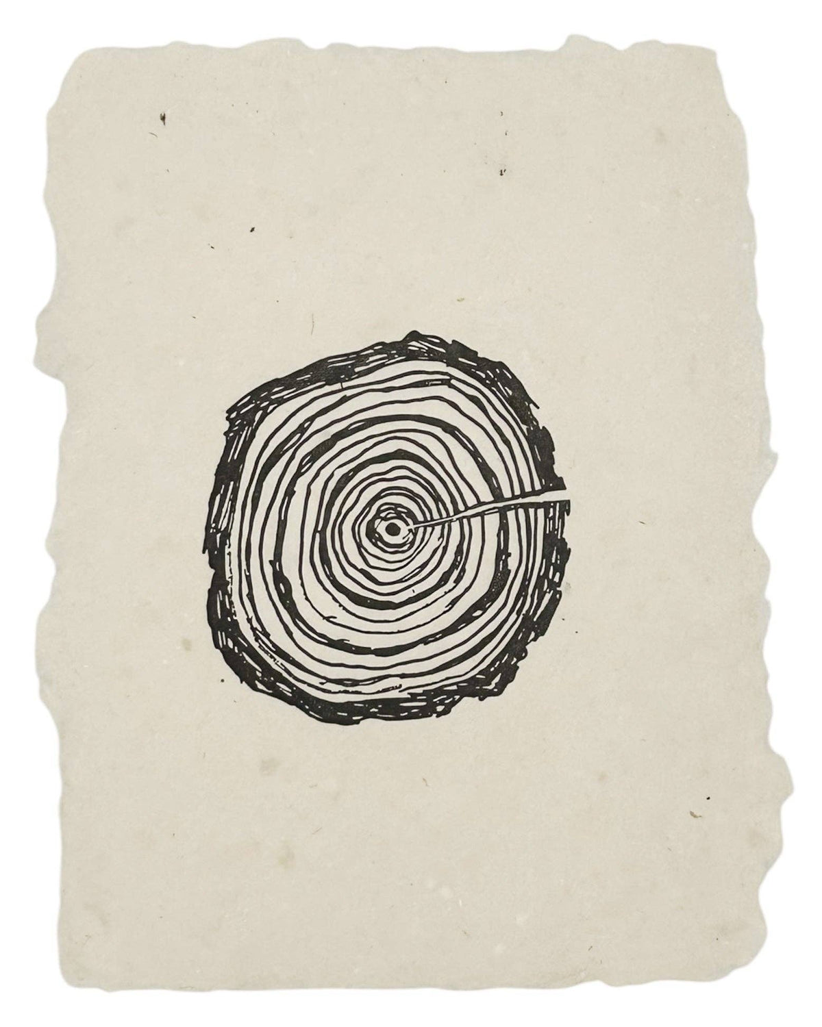 Tree rings art print